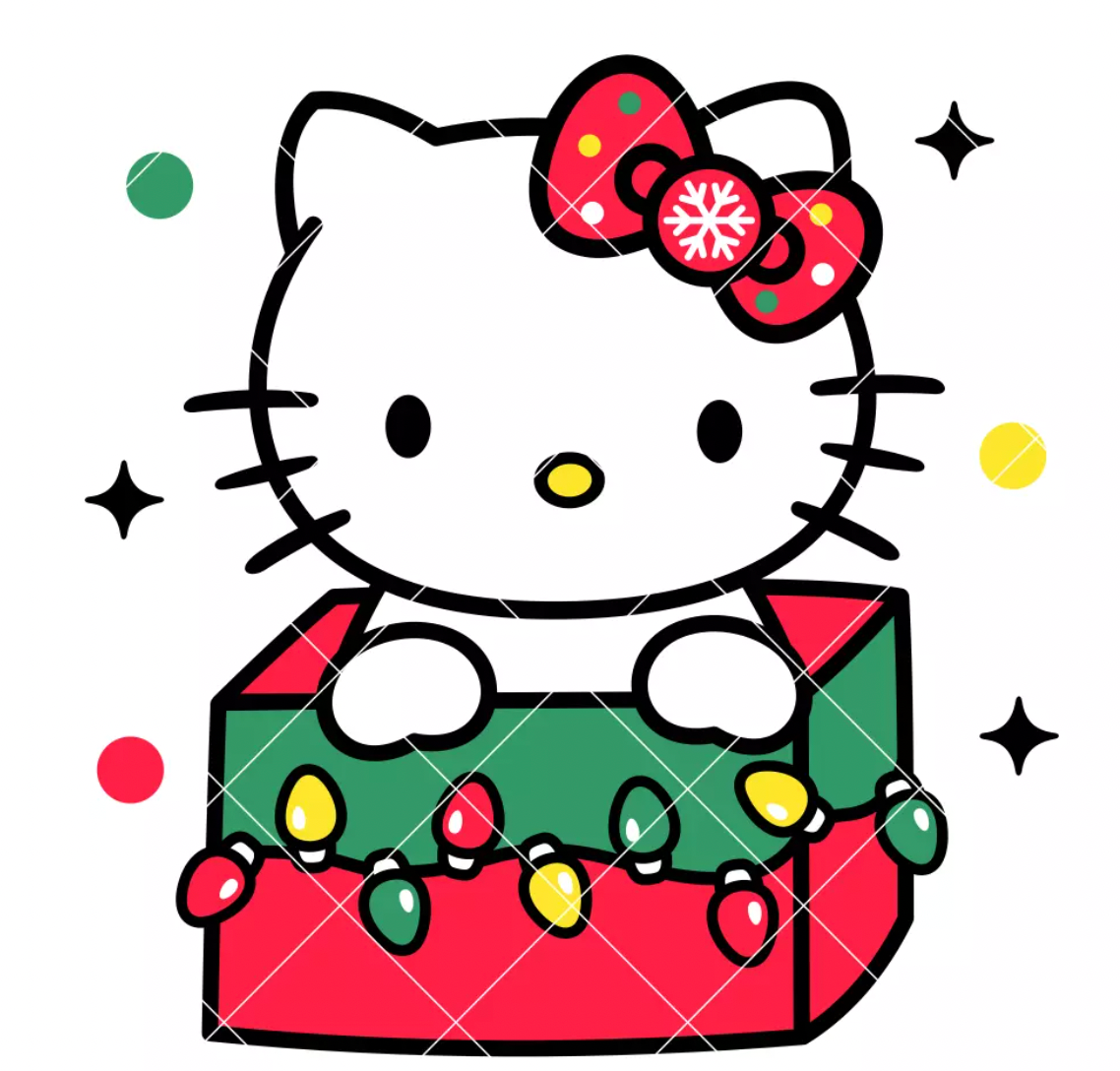 HK in Present box