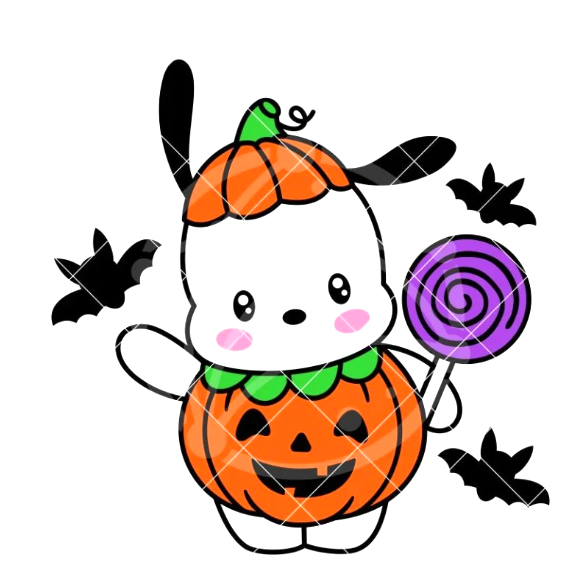 Pochacco Pumpkin